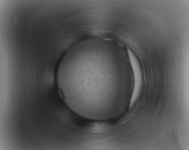 X0000092110508200709262201