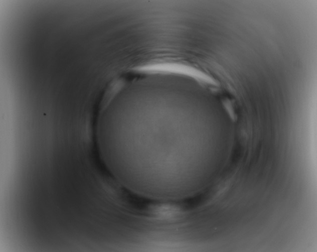 X0000092110512200709262201