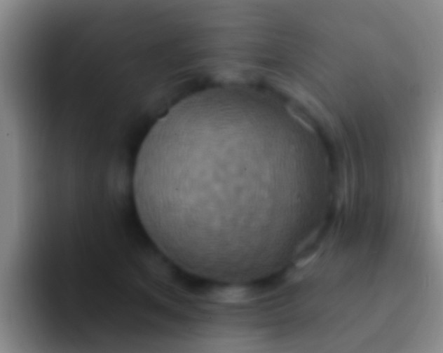 X0000092110513200709262201