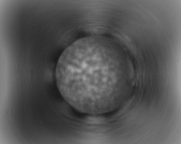 X0000092110515200709262201