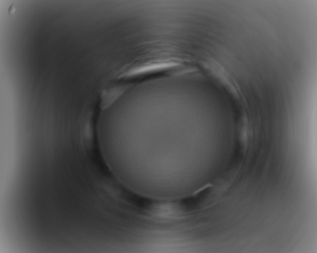 X0000092110516200709262201