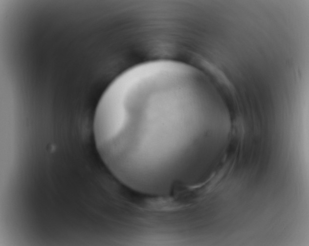 X0000092110517200709262201