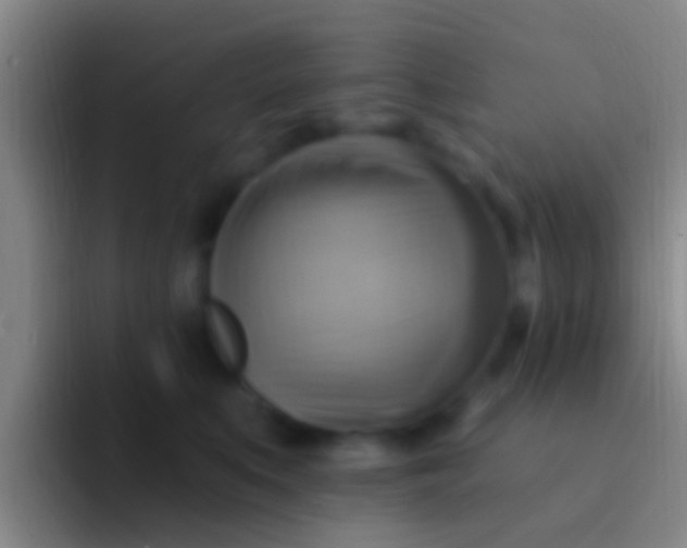 X0000092110519200709262201