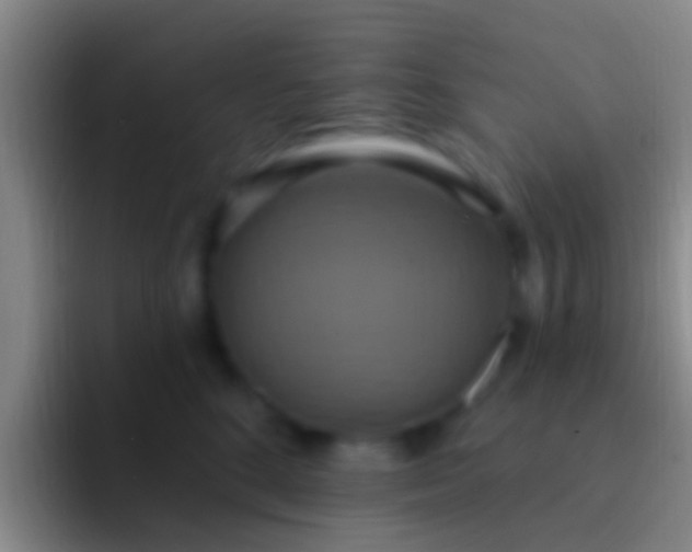 X0000092110520200709262201