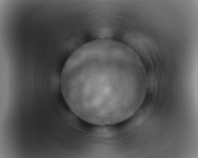 X0000092110523200709262201