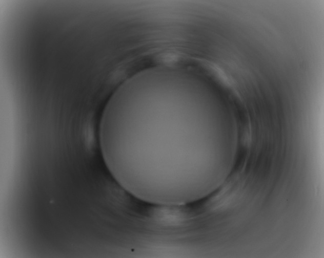 X0000092110524200709262201