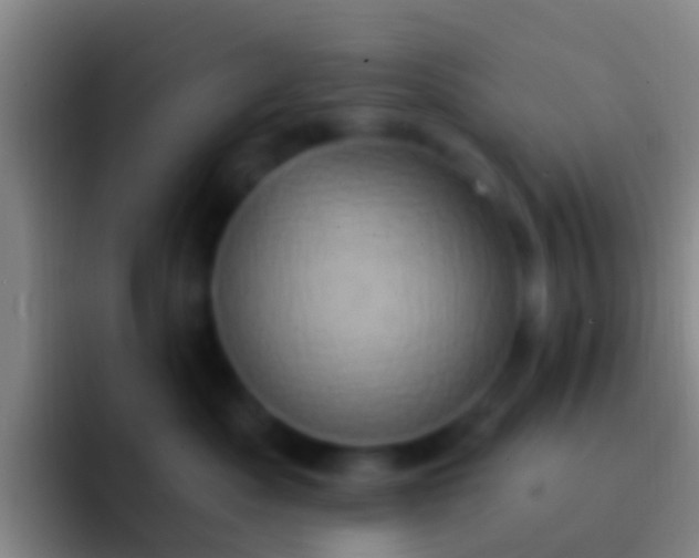 X0000092110525200709262201