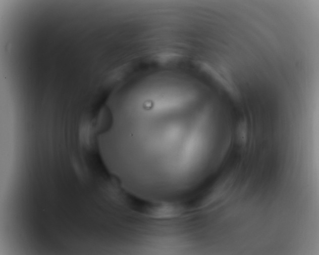 X0000092110527200709262201