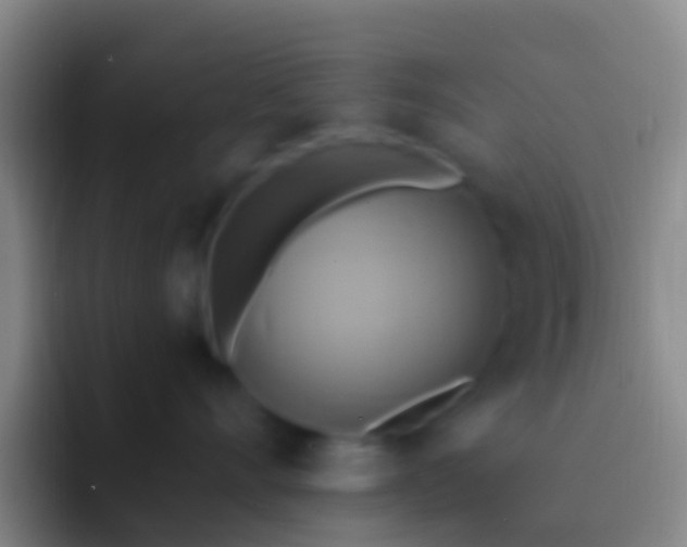 X0000092110528200709262201