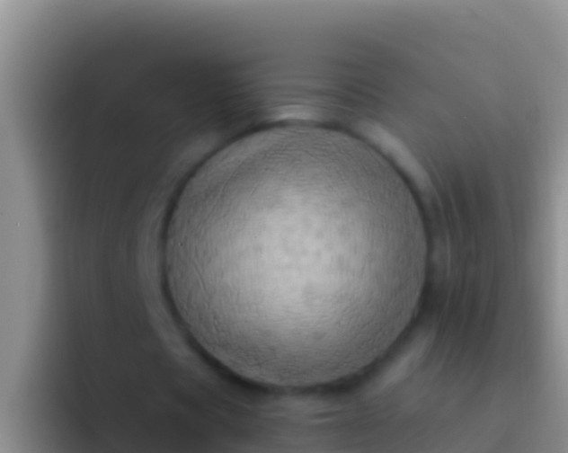 X0000092110529200709262200