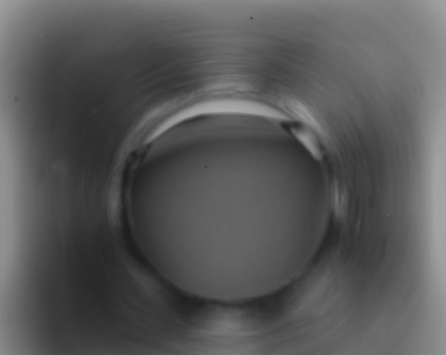 X0000092110531200709262200