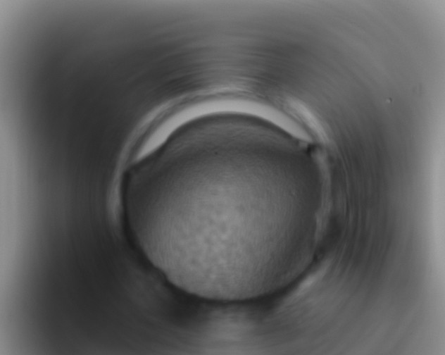 X0000092110532200709262200