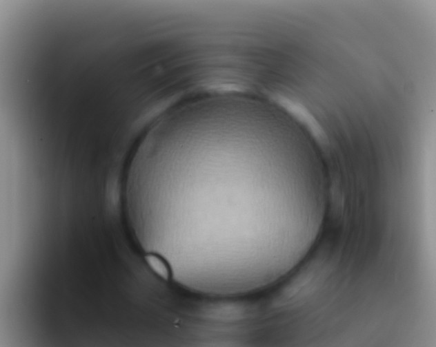 X0000092110533200709262201