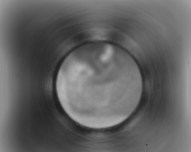 X0000092110534200709262201