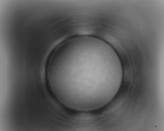 X0000092110535200709262201