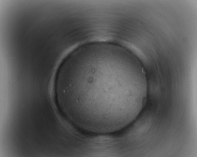 X0000092110536200709262201