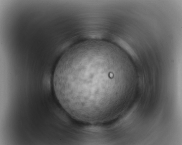 X0000092110537200709262201