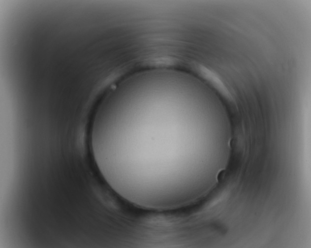 X0000092110538200709262201