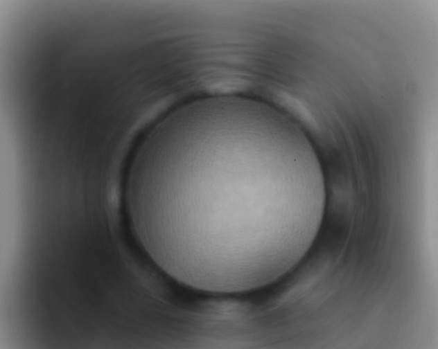 X0000092110539200709262201