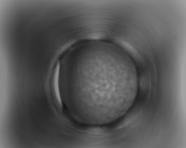 X0000092110540200709262201