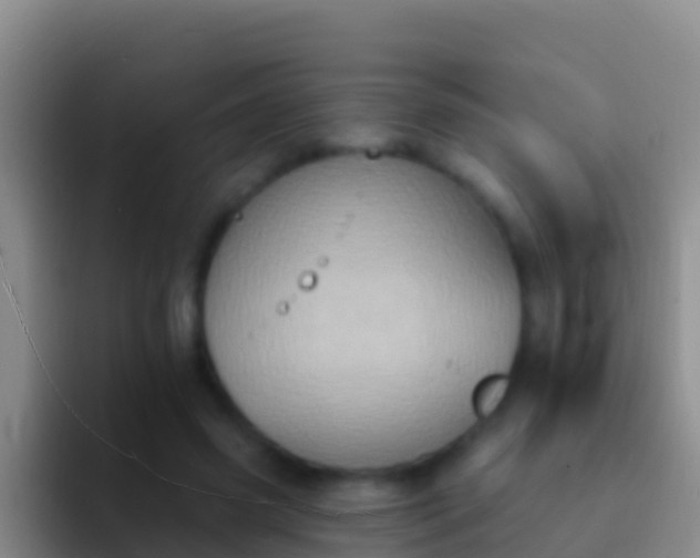 X0000092110541200709262201