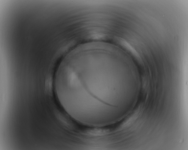 X0000092110542200709262201