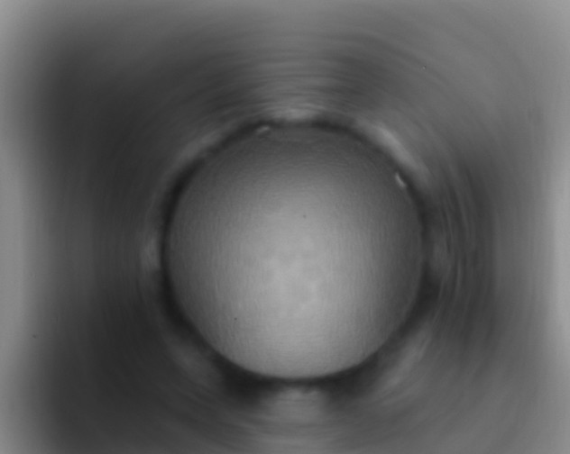 X0000092110543200709262201