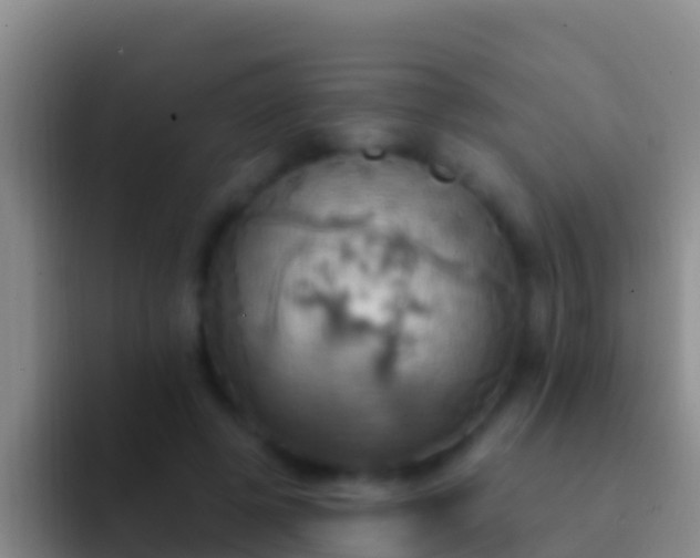 X0000092110545200709262201