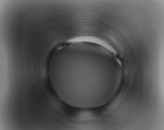 X0000092110547200709262201