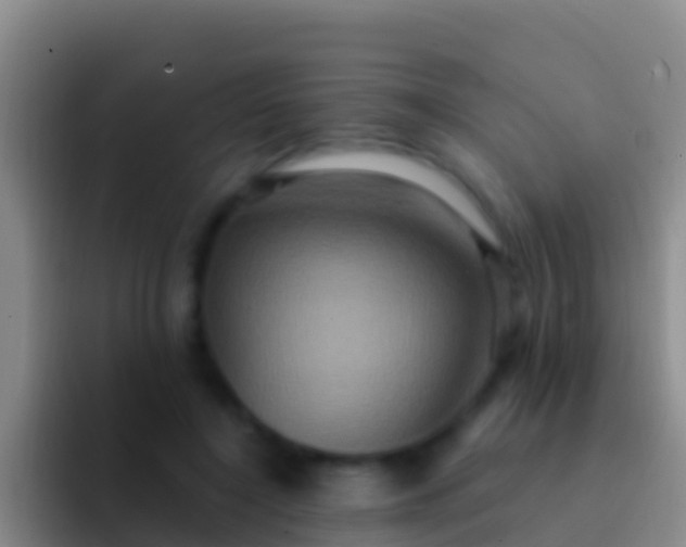 X0000092110548200709262201