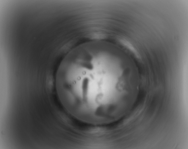 X0000092110549200709262201