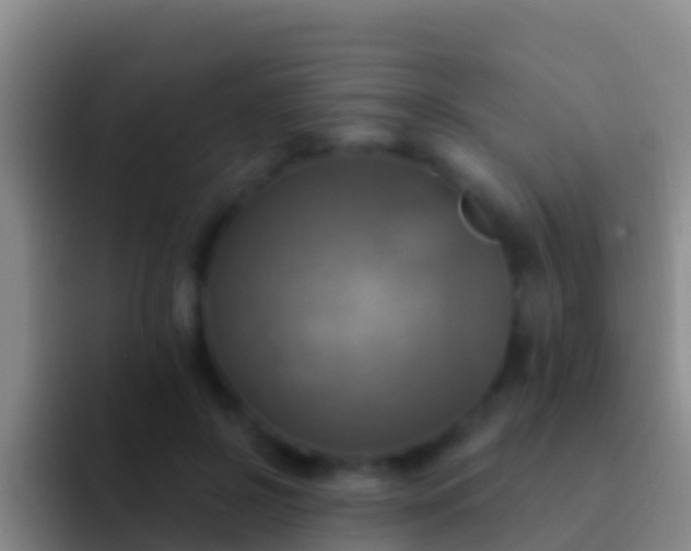 X0000092110550200709262201