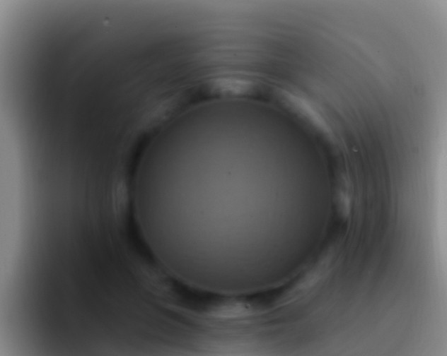 X0000092110551200709262201