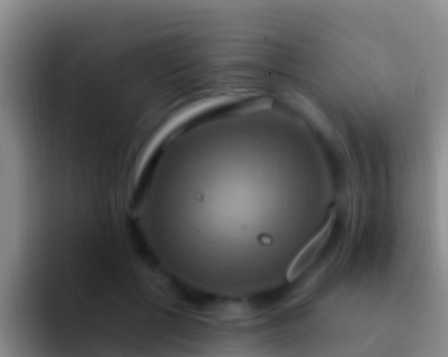 X0000092110552200709262201