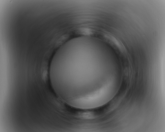 X0000092110553200709262201