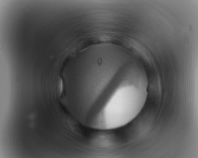 X0000092110555200709262201