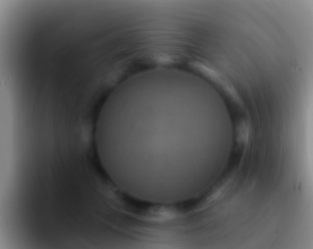 X0000092110559200709262201