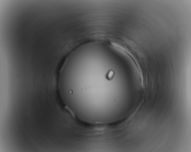 X0000092110560200709262201