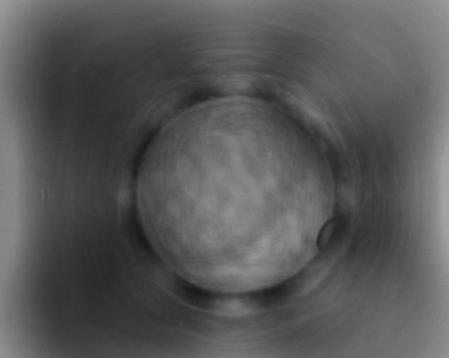 X0000092110561200709262201