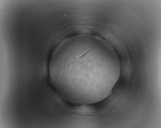 X0000092110562200709262201