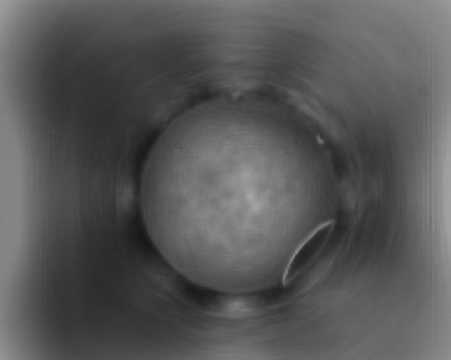 X0000092110564200709262201