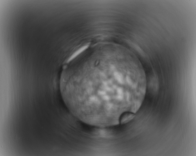 X0000092110565200709262201