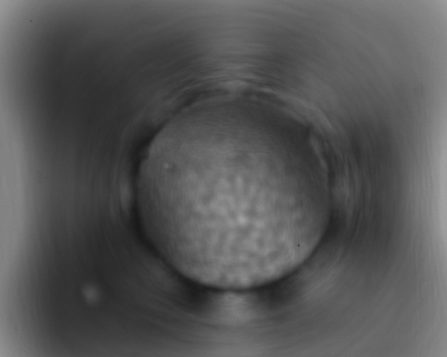 X0000092110566200709262201