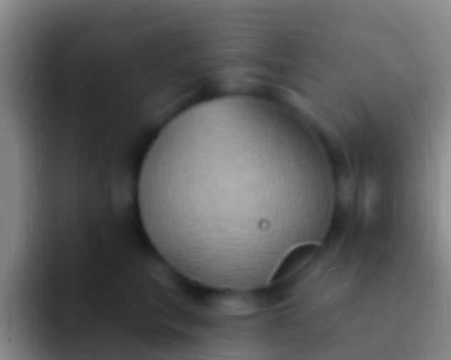 X0000092110567200709262201