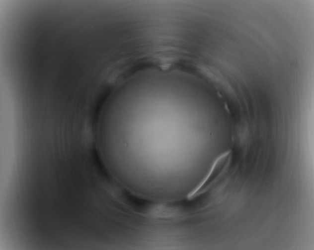 X0000092110568200709262201