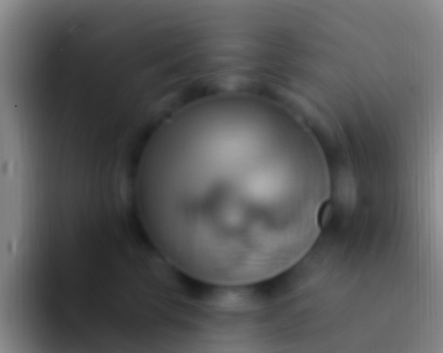 X0000092110569200709262201