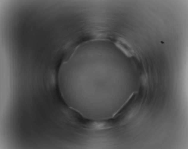 X0000092110570200709262201