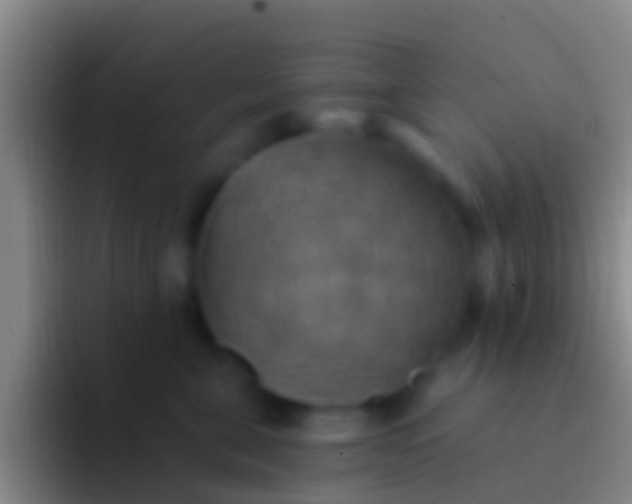 X0000092110571200709262201