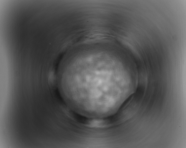 X0000092110575200709262201