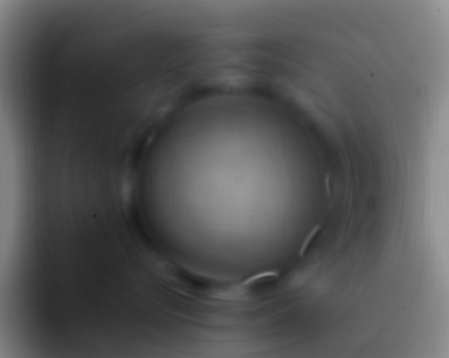 X0000092110576200709262201